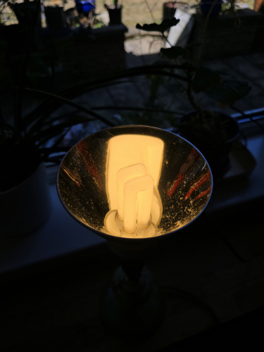WOTAN DULUX EL Reflector 11w CFL - lit up
Unbelievable 
