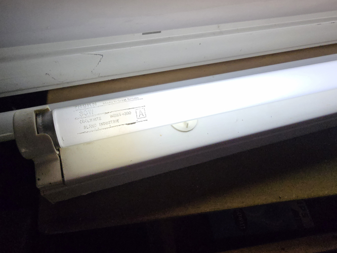 Thorn 30W T8 COOLWHITE lit up
Halophosphor cool white at 4300K is soooo niice 
