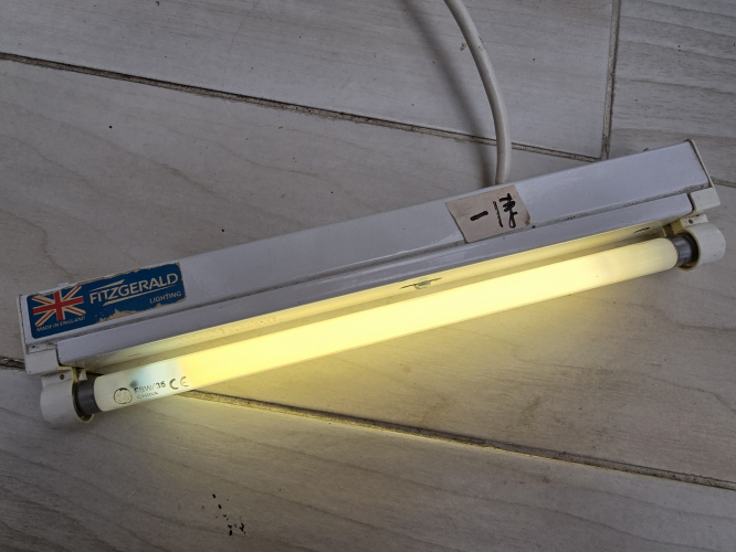 Childhood era 8W GE tube
This was a replacement tube for my childhood Wickes undercabinet fixture which stopped working, bought back during my childhood. Over the years I kept that tube and it still works 
