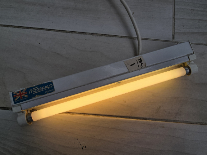 GE Polylux 827 8W tube lit up
Certainly is "Extra Warm White" as it says 
