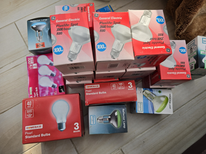 Extra bits of the childhood haul 
Showing the extra 3 pack bulbs from Homebase 
