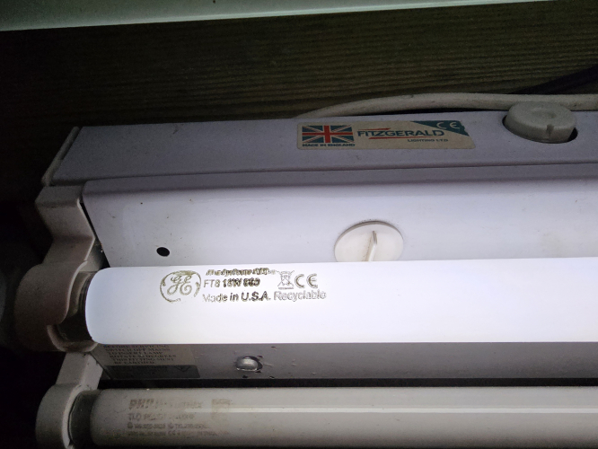 GE Polylux 18W T8 Daylight tube lit up 
It took a good 10 seconds of it blink happy striking for the first time 
