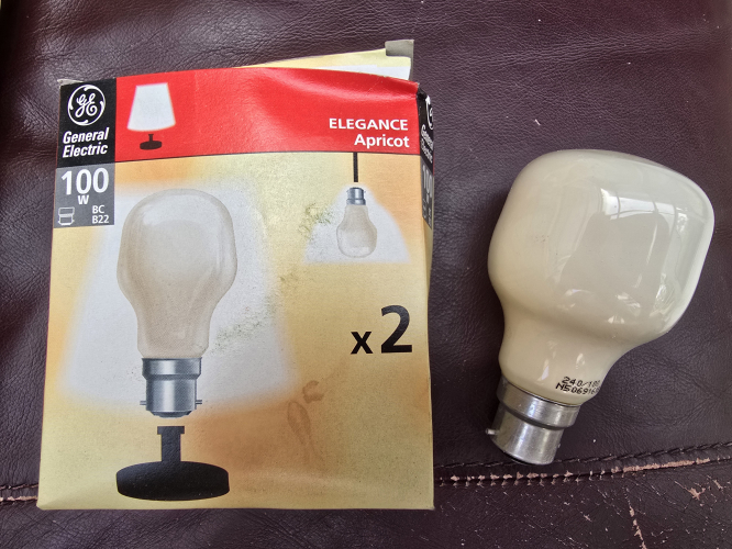 GE Apricot White 60W T shaped bulbs
From Saturday's car boot sale 

Although happy to acquired I do want to get more of the GE T shaped bulbs in pastel green, pastel blue and terracotta 
