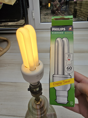 Philips Energy Saver Ecotone Economy 11W CFL
Had to get this at Saturday car boot sale 

It had a promotional sticker from Scottish energy with expiry date of June 2001 

