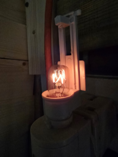 Partial successful fix of the 7W nightlight 
Remember that 7w nightlight that I got from the car boot sale alongside with the Lyvia 7w and the other 2 which were shaped like computer mice? 

I managed to drill the seized screw out and pull out the loose 7w bulb and found a spare 7w bulb 

This was successful for 15 seconds until the bulb flickered and then after a faint grey white flash it was burnt out 
