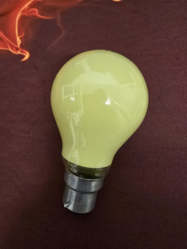 Leuci 60W yellow GLS incandescent 
My mum found this underneath the stairway 

Made in Italy
