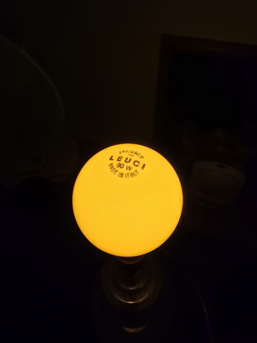 Leuci 60W yellow GLS incandescent lit up
The brightness is just amazing- I always prefer the higher wattage of coloured incandescents 
