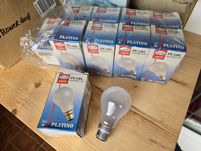 Platino 100W pearl (fumed silica) GLS incandescent 
Got these at today's car boot sale - the fumed silica coating is on the very thin side that you can easily see the filament
