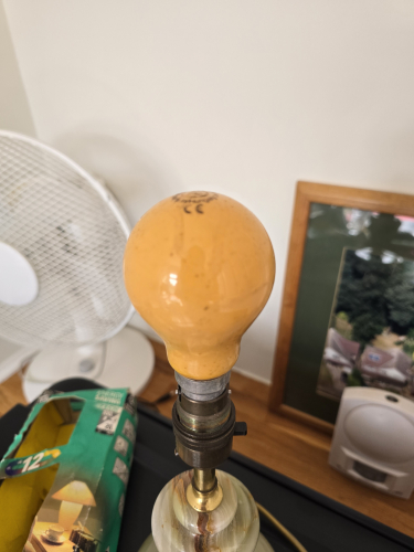 GE 25W yellow incandescent 
Unfortunately as soon as I turned it on it just made a faint flash 

It wasn't BNIB though 
