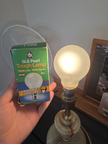 BELL Triple Life 100W GLS incandescent 
The brightness is definitely dimmer than you expect due to it being 'triple life 3000hr' rated 

