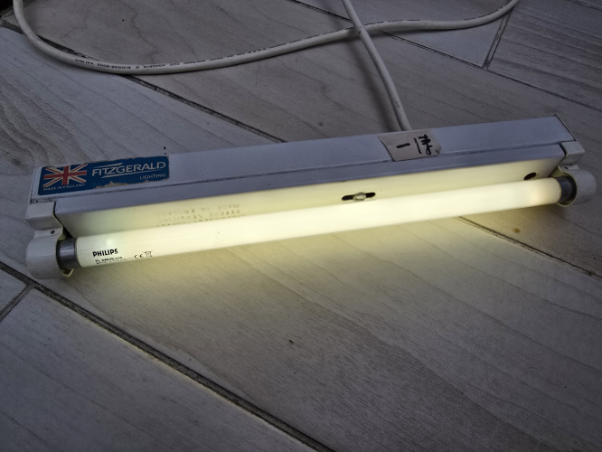 Philips TL 8W colour 35 
Made in Poland - got it today without its sleeve
