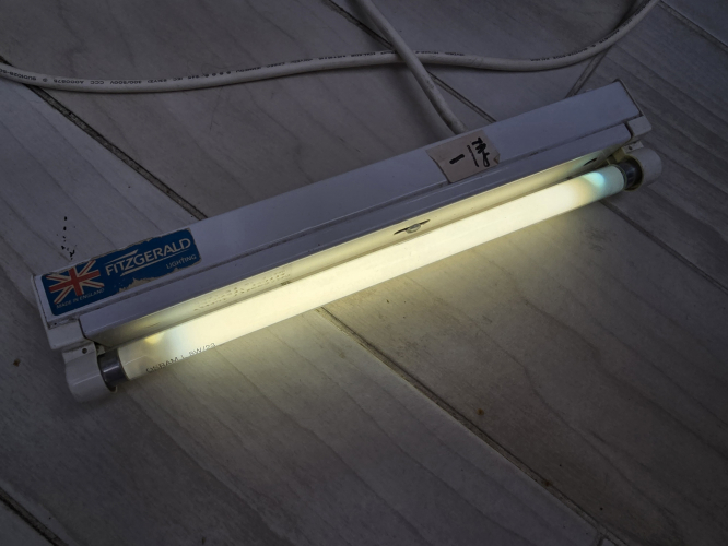 OSRAM L8W/23 tube
Got this today, BNIB 

It went like this after 3 mins of runtime 
