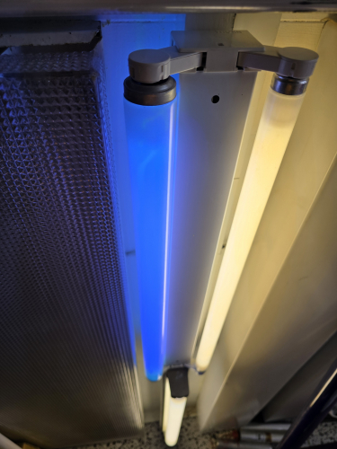 Philips Actinid Blue 20W BLB tube lit up
Tried it in the 2x 18W fixture but had to leave the right tube in as this fixture is wired in series 

At Dave's and no did not take it with me 
