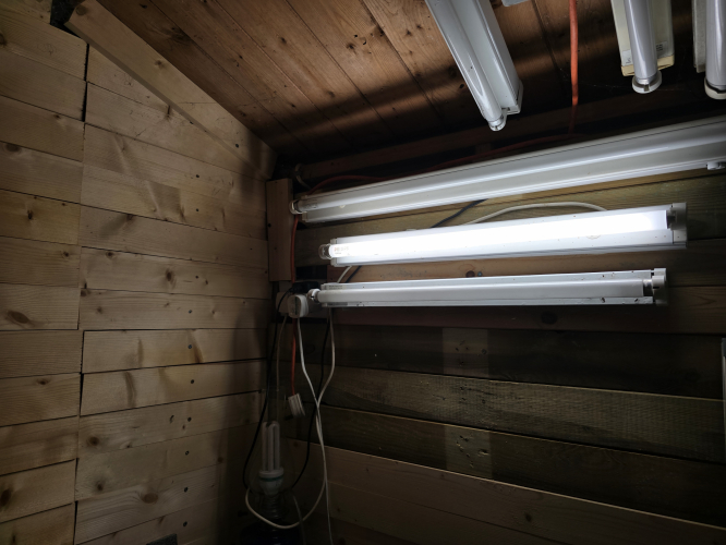 Philips Graphica 950 18W tube lit up
In my shed 

It has this excellent CRI and also softer output
