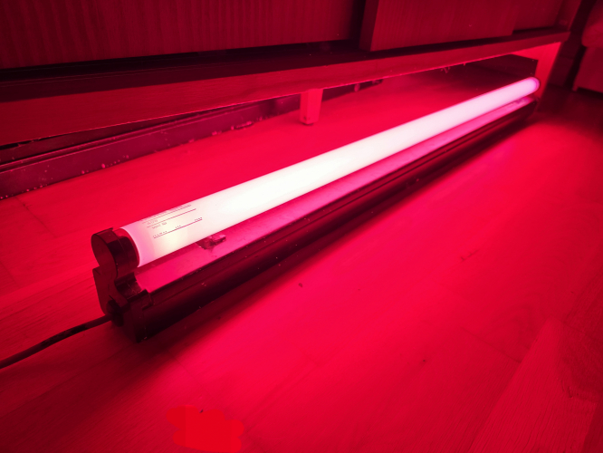 GEC Europa 4ft T12 fixture with Thorn EMI Radar Red tube
Picked this one up from Godalming, Surrey with thanks to Slyspark for keeping them for me. This came with the Fitzgerald Lightpack 40W fixture and was also a blacklight modification too

Took out its GE blacklight 40W T12 tube and stuck in my Thorn EMI Radar Red tubes that I got back in December 2024

Now I've achieved what I wanted to do - a GEC Europa fixture running a Radar Red tube like what I saw at a meetup back in October 2024 in a place that was a 2hr 30mins drive from Reading, Berkshire
