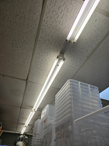 Fluorescent shop lighting #2 pic
At a small shop in Reading, Berkshire, which sells miscellaneous items, toys and electrical things 

These fixtures use OSRAM Lumilux 70W 840 tubes with the brown tree etch 

One of the fixtures got its cover plate slightly ajar 
