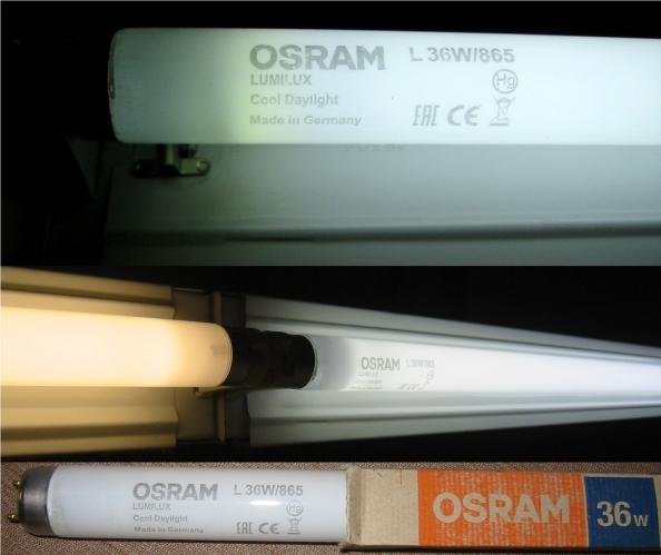 Osram L 36/865
An Osram L 36/865 Cool Daylight lamp.
