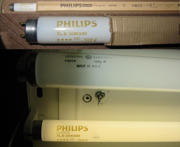 Philips TL-D 36W/840 (with GE F40CW)
Here is a European 4000K 36W 4' Master "Super 80" T8 lamp from Philips, running along with an American General Electric 40W Cool White T12 lamp.
