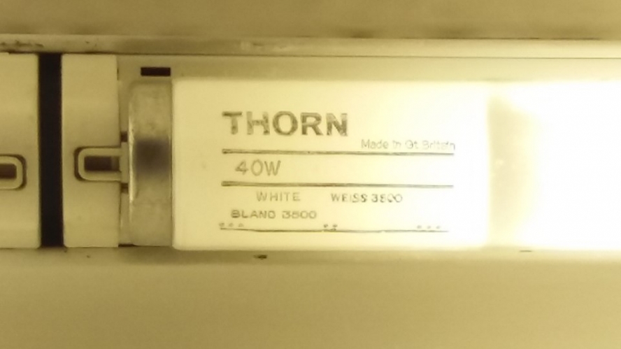 Well banded Thorn T12 still in use
Spotted in a privately owned building!
