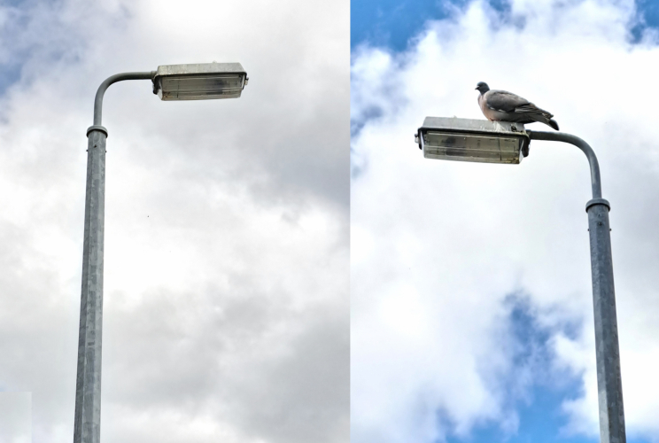 GEC Z9580 35w SOX lantern (plus pigeon)
It's been years since I've seen one of these lanterns, let alone one that still appears to be a SOX lamp... Some further down the road were fitted with LED retrofit lamps. Given most of these were all replaced years ago, I'm willing to bet these are all Parish-owned.
