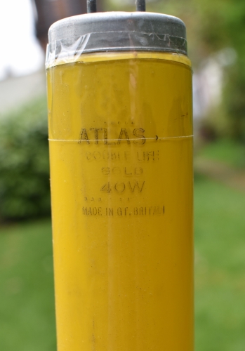 Atlas double life Gold 40w (lost vacuum)
I found it in this state unfortunately, I still kept it due to it literally being one of my only coloured tubes. The tape was to hold the end (which surprise surprise had rung off completely...) Apparently it dates from 1964.
