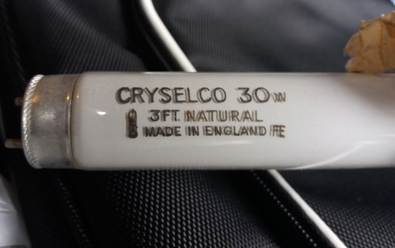 Cryselco 30w natural tube
Came from an old electrical shop near London last year.
