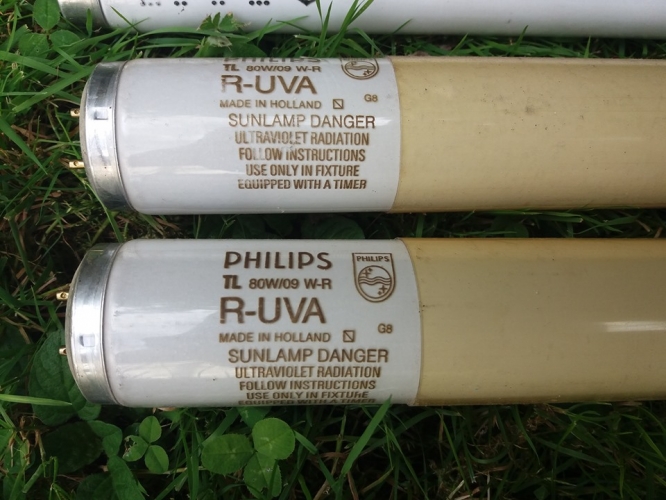 Philips UVA tubes
From the late 80s, look like they still have life left in them!
