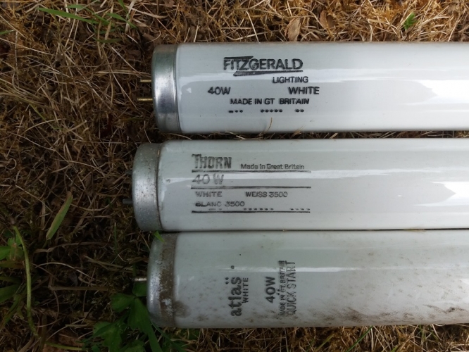 2019 tube haul #1
Just a random picture I took last year of some tubes I found in the lamp bin. The Fitzgerald went back as it was EOL.
