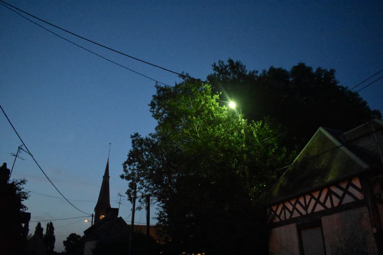 Lone mercury survivor
A rather picturesque shot of a lone mercury lantern in rural France, located down a quiet country lane. Nothing beats the glow of a mercury lantern on a summer night...
