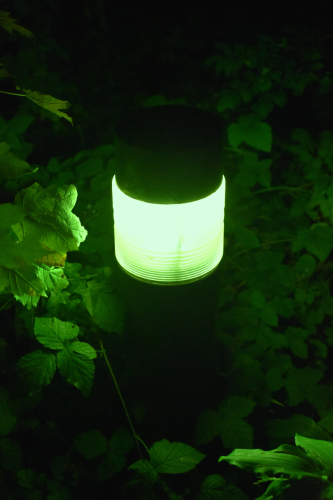 Mercury Crompton Churchouse bollard in the undergrowth
A small private road features 4 or 5 of these seemingly very well maintained (although some lamps are quite green) Crompton "Churchouse" bollard lanterns. A nice sight to see!
