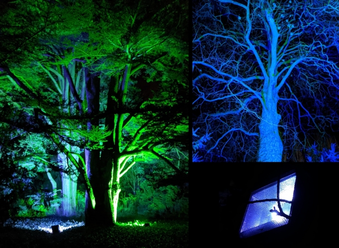 Trees lit up by 400w coloured Metal Halide lamps
Yesterday I went to an outdoor installation in the grounds of a large country house. It was very nice, about 50% coloured LED but surprisingly there were also green, blue and magenta single ended 400w Halides, 400w SON-T lamps, and many many double ended halides in green, blue, lilac, turquoise, magenta, etc! I also spotted halogen lamps and some GE stage light PAR can type things!
