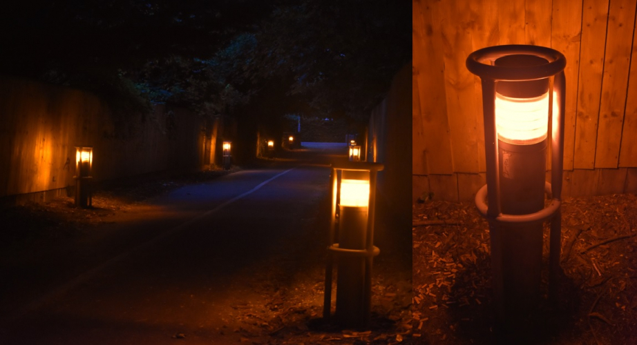 Footpath lit by 50w SON bollards - part 2
An alternate angle and close up photo of one of the bollards featured in the previous pictures.
