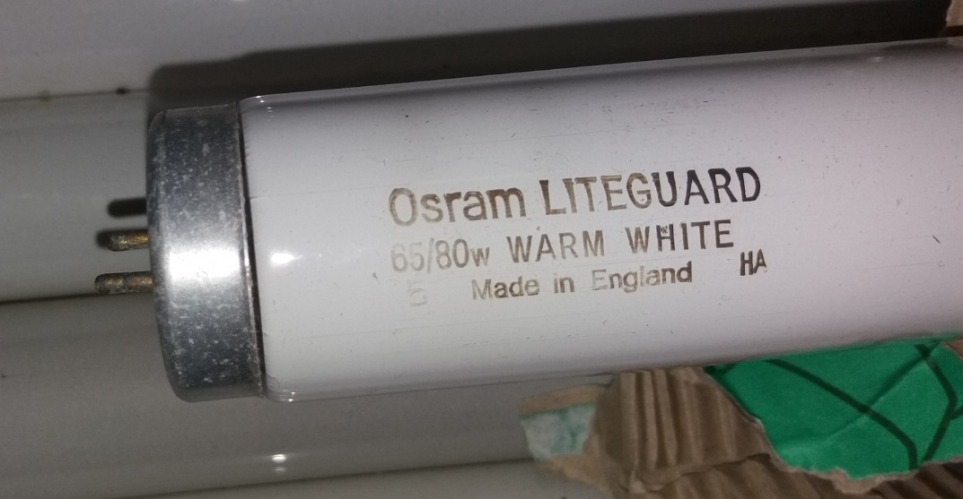 Osram Liteguard 65w
Working bin find.
