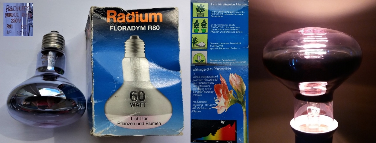 Radium Floradym R80 Reflector Lamp
Interesting lamp made with neodymium glass.

