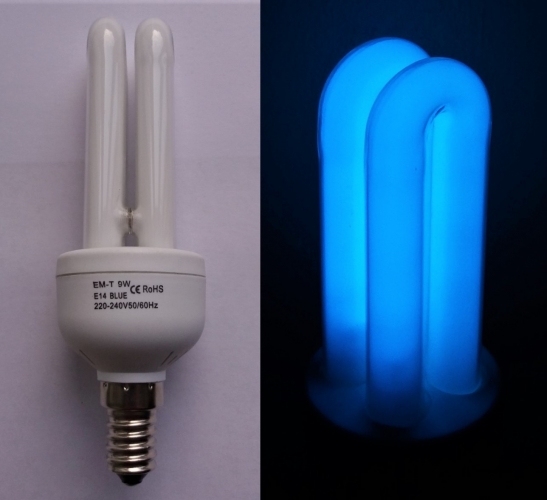 Blue phosphor CFL lamp
Generic lamp, but has quite a strong blue colour when lit!
