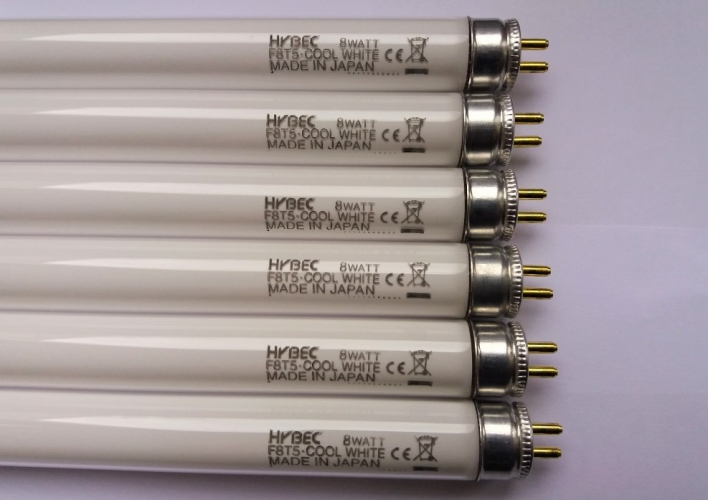 Hybec Cool White 8w T5 tubes
These seem to turn up quite frequently at my local lamp bins and almost always are NOS! I always bring back a fair few when they turn up.
