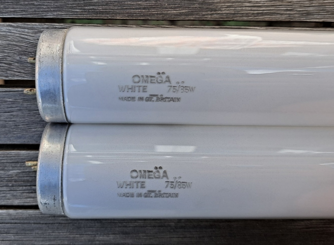 Omega 75w T12 tubes
A nice pair of old tubes with minimal wear, found this morning in the lamp bin.
