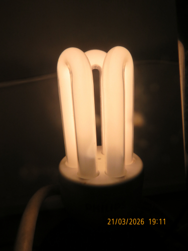 Picture of my Philips Genie 11W warm white CFL
I installed it on my computer table lamp, after my former Semicom CFL EOLed. This isn't a current picture, but a picture from the moment of installation.
