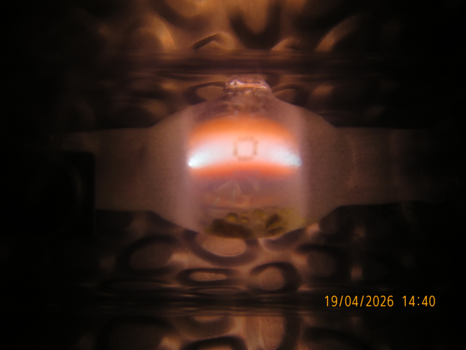 The arc of my BLV HIT-DE 70W "Orange" MH lamp
The arc core is mercury and the outer is NaI. The mercury arc core, is the reason for the peach colour of orange MH lamps.
