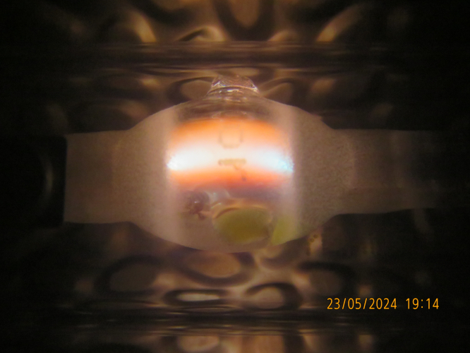 BLV HIT-DE 70W sodium-mercury crap...
The mercury pressure in this lamp is too high, that the entire core of the arc is white from mercury, and only the outer layers are orange from sodium...
