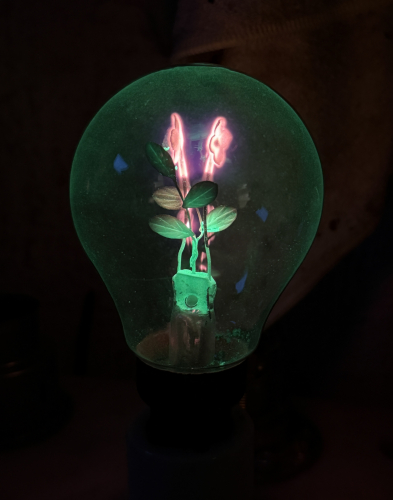 late 1950’s early 1960’s ATLAS flower lamp
A rare atlas decorative discharge lamp from the late 50s early 60s. Sadly the coating is already worn on this one…
