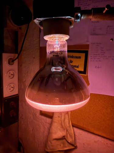 1981 Osram HQL-R 80W Deluxe at start up
