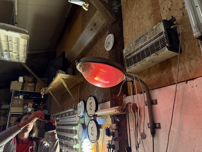June 2026 meet - Philips SOX 18W
A very nice Philips 18W LPS street lantern that just started on the test bracket in the barn
