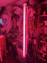 IMG_0589.jpeg