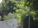 DSCF8212.JPG