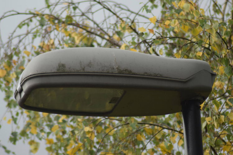 IEP Iluminación Zaniah MX.
Cheap old things, not the worst looking though imo
